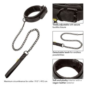Calexotics-Collare con guinzaglio rimovibile Boundless · Accessori BDSM (immagine 3)
