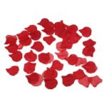 Diablo Picante-100 Petali Rossi — DIVERTY SEX · Giochi erotici