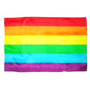 Pride-Bandiera Grande LGBT