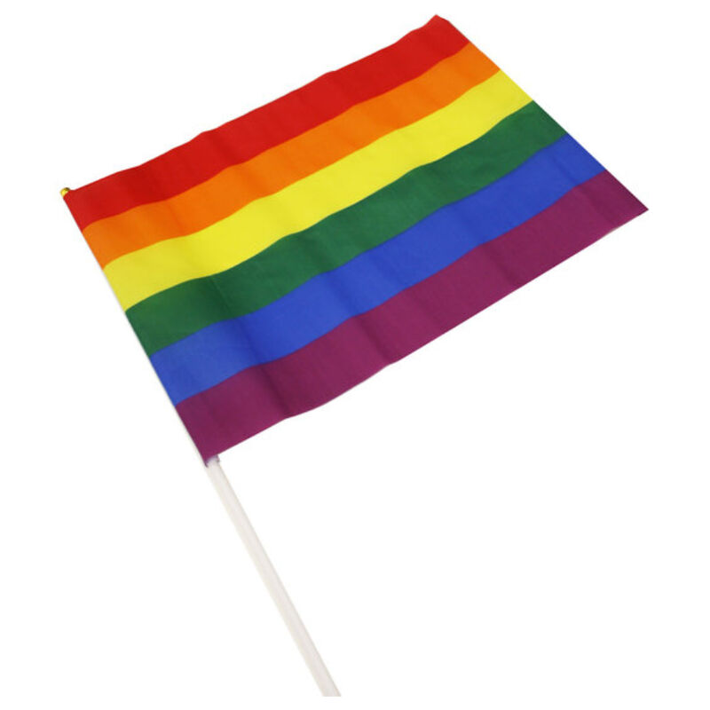 Pride-Fanale Medio con Bandiera LGBT 30 x 19,5 cm 1 Pride-Fanale Medio con Bandiera LGBT 30 x 19,5 cm · Articoli divertenti
