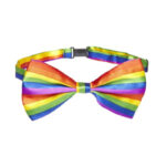 Pride-Papion cu Steagul Lgbt · Articole Haioase