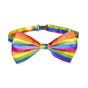 Pride-Bandiera con la bandiera LGBT 2 Pride-Bandiera con la bandiera LGBT · Articoli divertenti