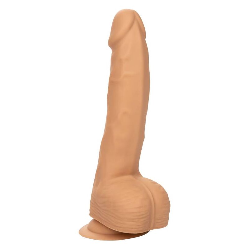 Calexotics-Dildo Silicone Studs 20,32 cm con Ventosa · Dildo & Stimolatori (immagine 3)