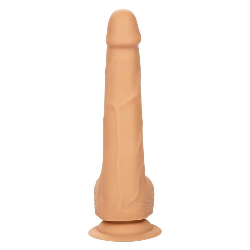 Calexotics-Dildo Silicone Studs 20,32 cm con Ventosa · Dildo & Stimolatori (immagine 10)