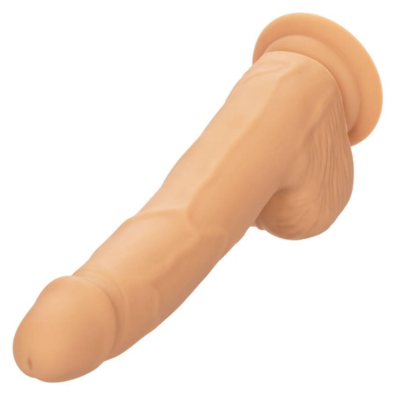 Calexotics-Dildo Silicone Studs 20,32 cm con Ventosa · Dildo & Stimolatori