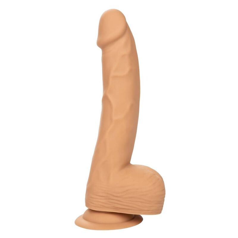 Calexotics-Dildo Silicone Studs 20,32 cm con Ventosa · Dildo & Stimolatori (immagine 5)