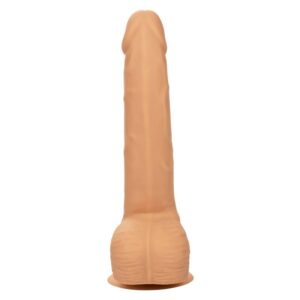 Calexotics-Dildo Silicone Studs 20,32 cm con Ventosa · Dildo & Stimolatori (immagine 4)