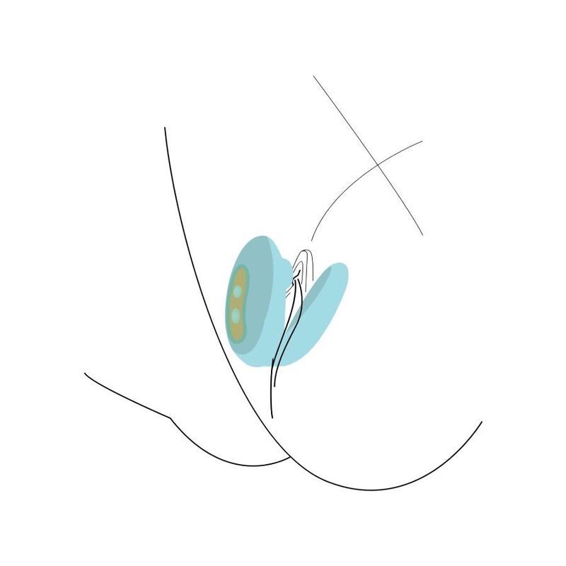 Xocoon-Foreplay Enhancer per Coppie Menta · Vibratori (immagine 3)