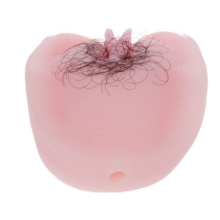 Baile For Him-Anthea Magic Flesh Vibraton Masturbazione Vagina e · Masturbatori (imaginea 7)
