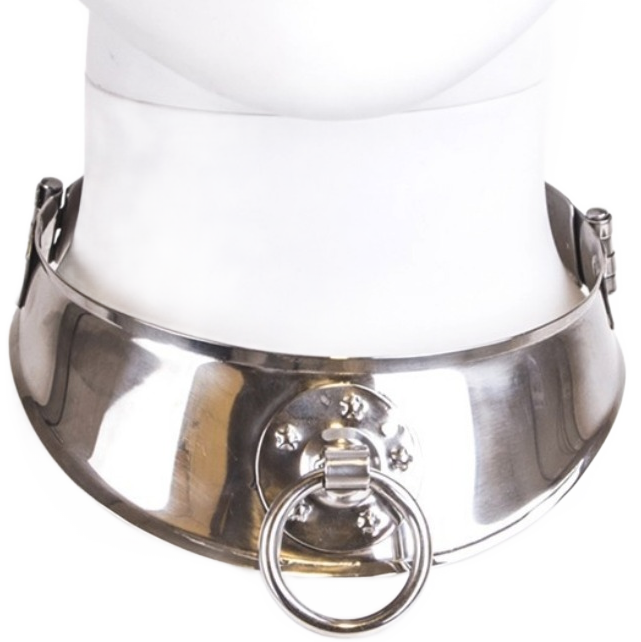 Metal Hard-Collana di Soggiogamento con Anello 1 Metal Hard-Collana di Soggiogamento con Anello · Accessori BDSM