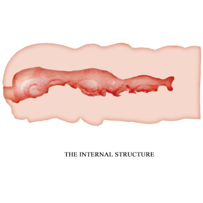 Crazy Bull-Isabel Masturbator Vagina 13.5 Cm-TPR, Impermeabile · Masturbatori (imaginea 4)