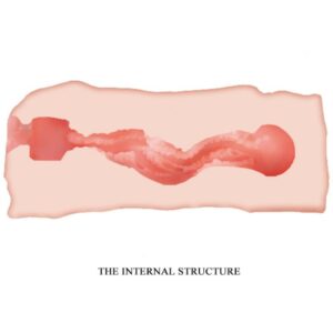 Crazy Bull-Jane Vagina Masturbatore 13.5 cm-TPR, Impermeabile · Masturbatori (immagine 3)