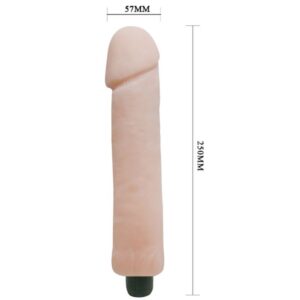 Baile Vibrators-Love Companion Dildo Vibratore 25 cm-TPR 12 Baile Vibrators-Love Companion Dildo Vibratore 25 cm-TPR · Vibratori (immagine 6)