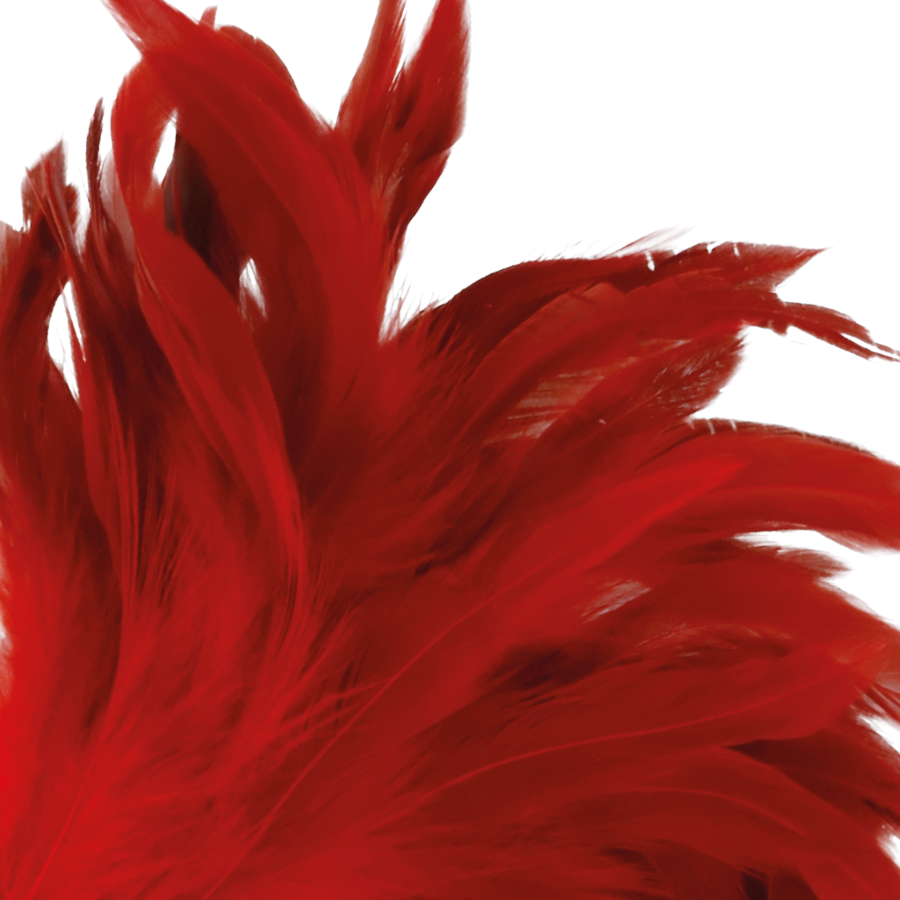 Darkness Sensations-Penna stimolante Rosso 24cm · Accessori lingerie (immagine 2)