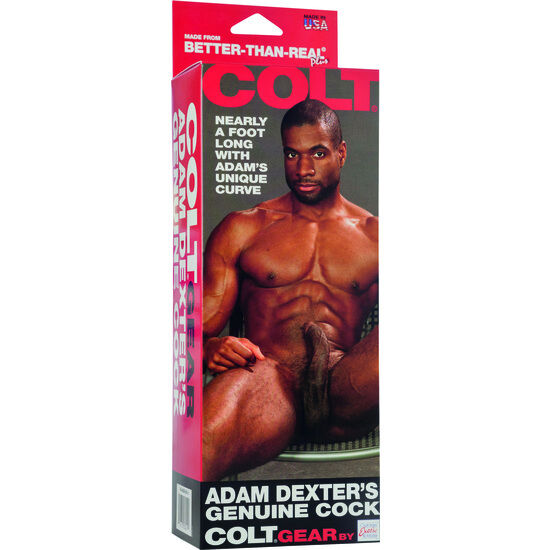 Calexotics-Dildo Realist Colt Adam Dexter 21 cm con Ventosa · Dildo & Stimolatori (immagine 2)