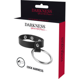 Darkness Bondage-Anello in metallo per pene e testicoli · Anelli & Guaine per pene (immagine 5)