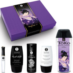 Shunga Kits-Naughtier Kit