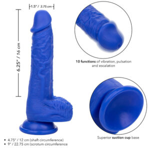 Calexotics-Sailor Dildo Realista Vibratore · Vibratori (immagine 4)
