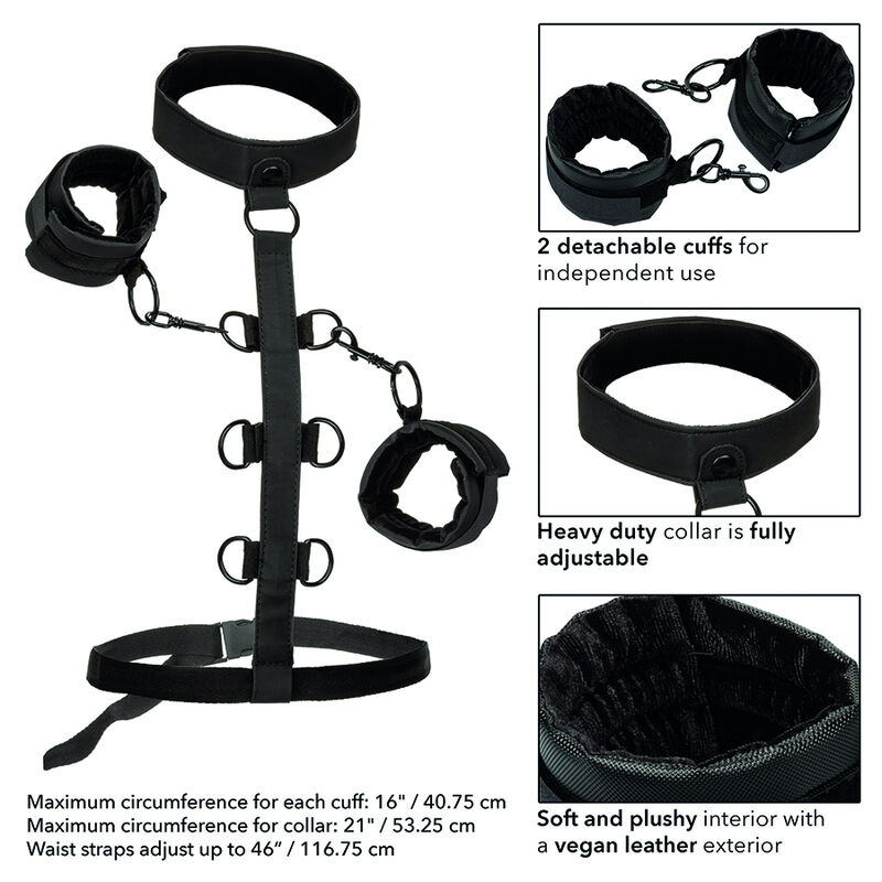 Calexotics-Boundless Collana con Imbracatura Regolabile · Bondage & Manette (immagine 6)