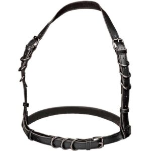 Calexotics-Euphoria Imbracatura Halter Plus Size con Fibbia · Accessori BDSM