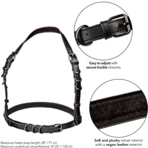 Calexotics-Euphoria Imbracatura Halter Plus Size con Fibbia · Accessori BDSM (imaginea 3)