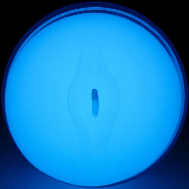 Kiiroo-Feelglow Stroker che brilla nel buio-TPE 4 Kiiroo-Feelglow Stroker che brilla nel buio-TPE · Masturbatori (imaginea 4)