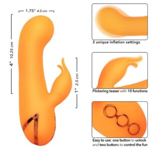 Calexotics-Montecito Muse Vibratore Rabbit Arancione California · Vibratori (immagine 7)