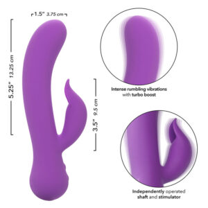 Calexotics-Primo tempo Vibratore Pleaser Ricaricabile, Viola-Silicone · Vibratori (immagine 9)