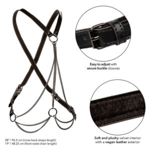 Calexotics-Imbracatura Euphoria Multiplante Premium Grande Pelle · Bondage & Manette (imaginea 2)