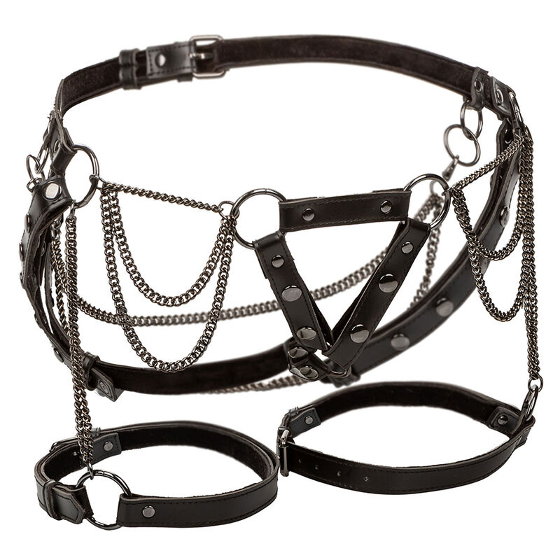 Calexotics-Euphoria Multichain Imbracatura per Cuscino Premium Plus