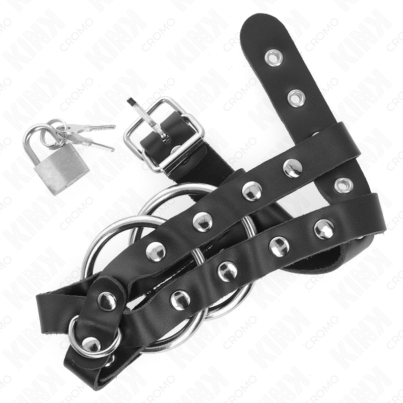 Kink Ring Power-Gabbietta per pene regolabile con lucchetto in metallo 3 Kink Ring Power-Gabbietta per pene regolabile con lucchetto in metallo · Accessori BDSM (imaginea 3)