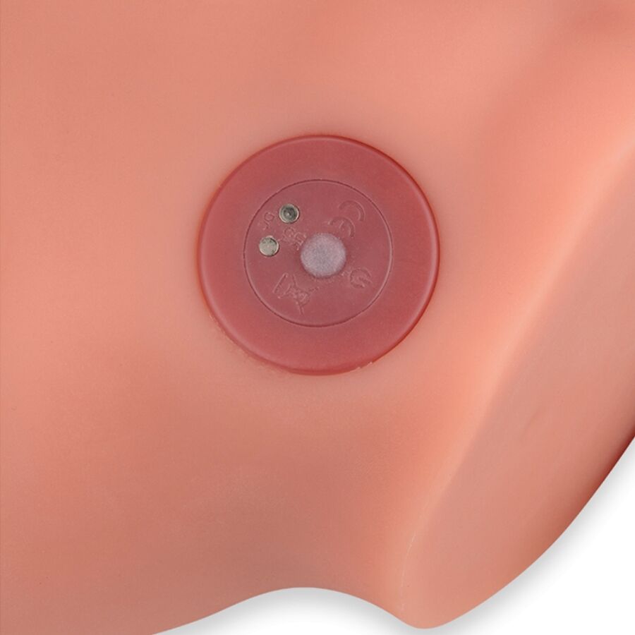 Xise-Frederico Masturbatore Dildo Realistico Posizione Frontale 9 Xise-Frederico Masturbatore Dildo Realistico Posizione Frontale · Vibratori (immagine 9)