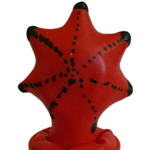 Condomerie-Preservativo dipinto a mano Stella di Mare-Lattice