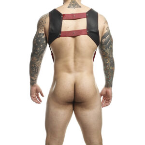 Mob-Dngeon Imbracatura con Anello per Pene Rosso One Size-Pelle Ecologica 15 Mob-Dngeon Imbracatura con Anello per Pene Rosso One Size-Pelle Ecologica · Intimo uomo (imaginea 7)