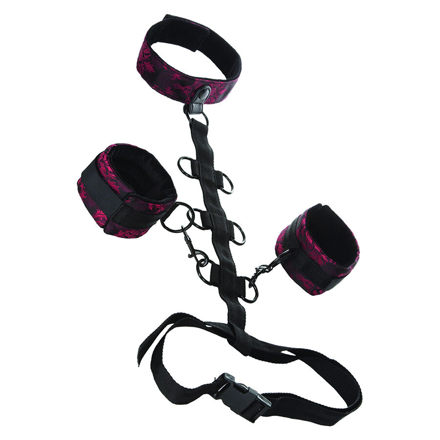 Calexotics-Scandalo Supporto Corporeo con Collare · Bondage & Manette