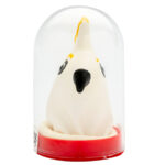 Condomerie-Prezervative Pictate Manual Parrot White-Latex · Prezervative Haioase