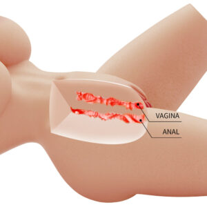 Crazy Bull-Lily Torso Realist Femminile Vagina e Anale, 4 kg-TPR 12 Crazy Bull-Lily Torso Realist Femminile Vagina e Anale, 4 kg-TPR · Bambole & Gonfiabili (imaginea 4)