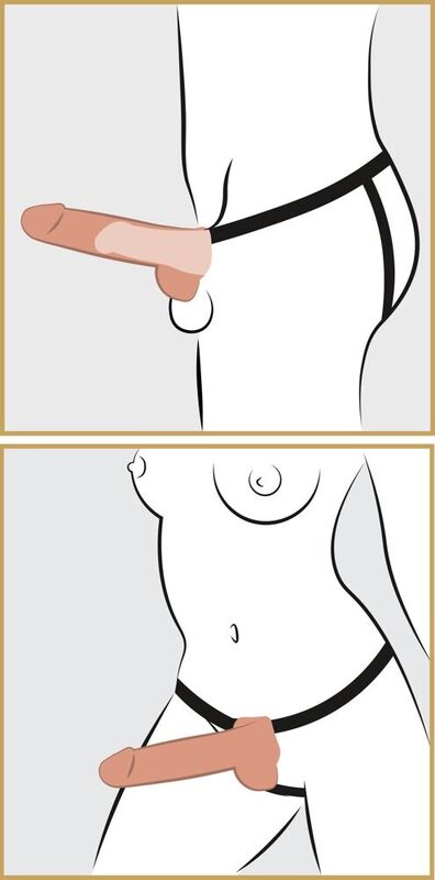 Fetish Fantasy Series-Imbracatura Regolabile con Pene Realistico Vuoto e — PIPEDREAMS · Anelli & Guaine per pene (immagine 5)